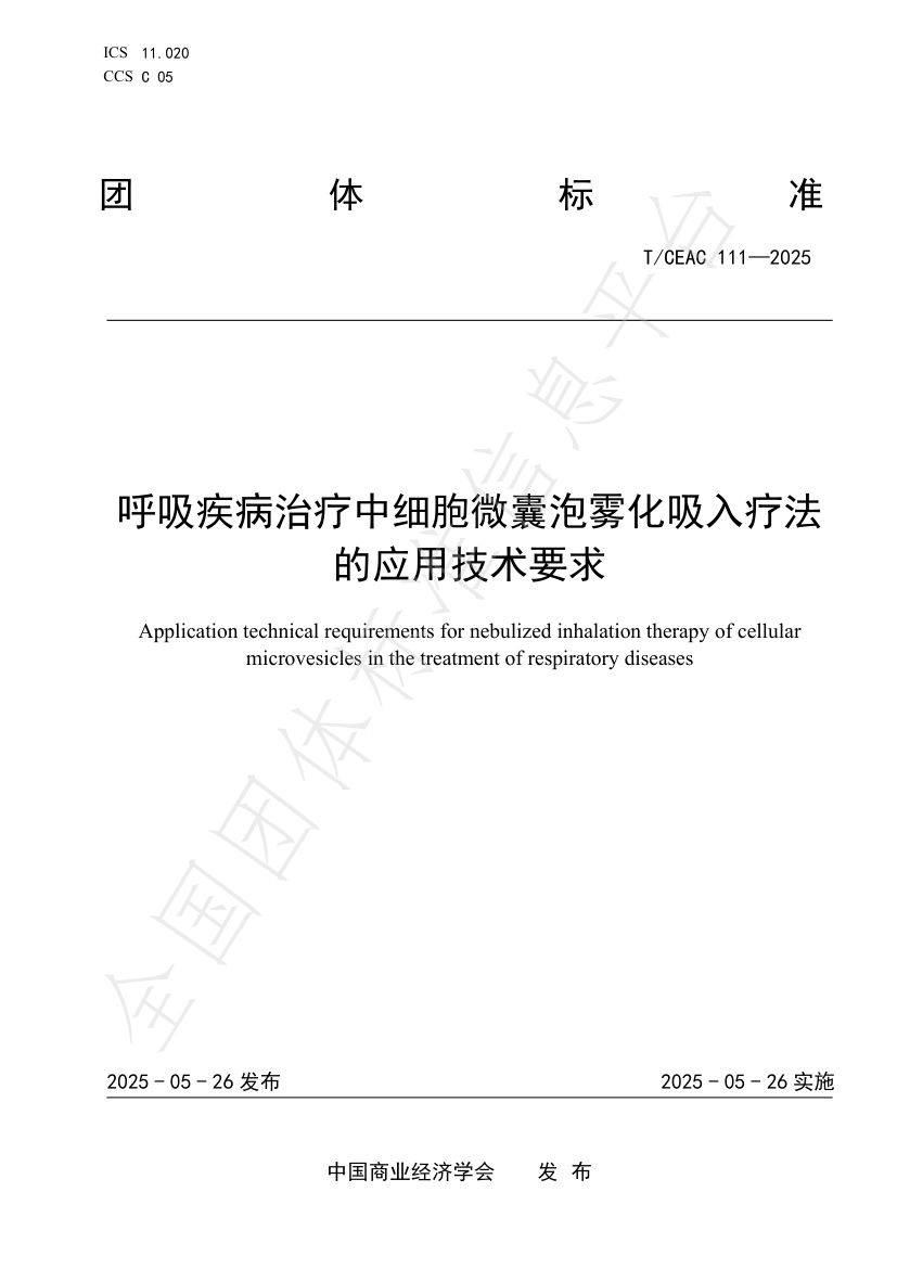 Group standard: EV nebulized inhalation therapy